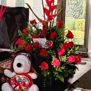 Sorpresa de Amor